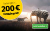 Anzeige für ein Zeitungsabonnement mit Sommermotiv. Text: "Sachen gibt`s ... 200 € Urlaubsgeld!" Mit Elefant mit Zebra-Streifen in der Sonne und Button „Jetzt bestellen“.