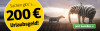 Anzeige für ein Zeitungsabonnement mit Sommermotiv. Text: "12 Monate informiert +200 € Sommerprämie! Mit Elefant mit Zebra-Streifen in der Sonne und Button „Jetzt bestellen“.
