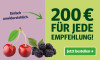 Anzeige für ein Zeitungsabonnement. Text: "200 € für jede Empfehlung!" und Button „Jetzt bestellen“.