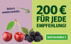 Anzeige für ein Zeitungsabonnement. Text: "200 € für jede Empfehlung!" und Button „Jetzt bestellen“.
