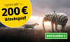 Anzeige für ein Zeitungsabonnement mit Sommermotiv. Text: "Sachen gibt`s ... 200 € Urlaubsgeld!" Mit Elefant mit Zebra-Streifen in der Sonne und Button „Jetzt bestellen“.